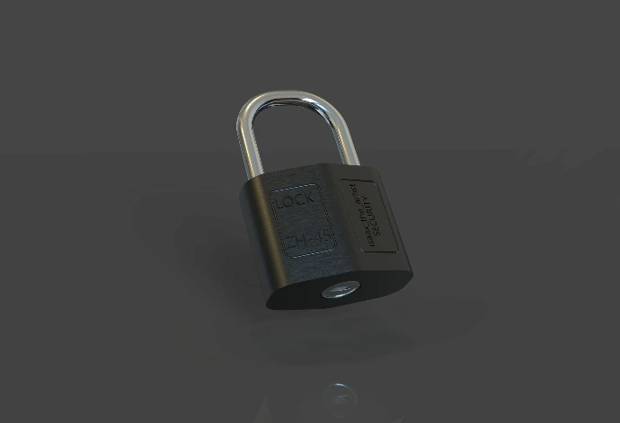 The Professional Standard for Information Security