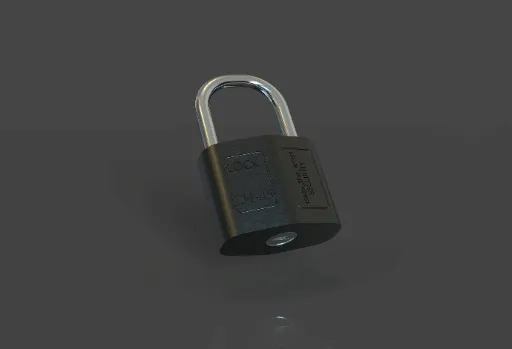 The Professional Standard for Information Security